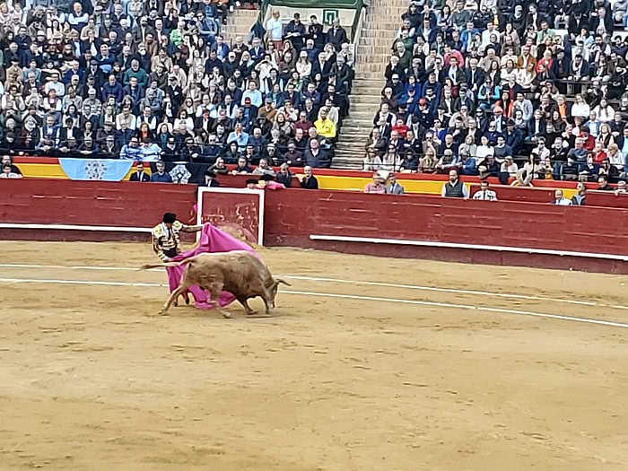 toros